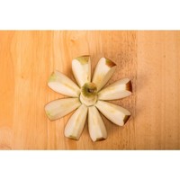 Mrs. Anderson's  Apple Corer with Silicone Handles