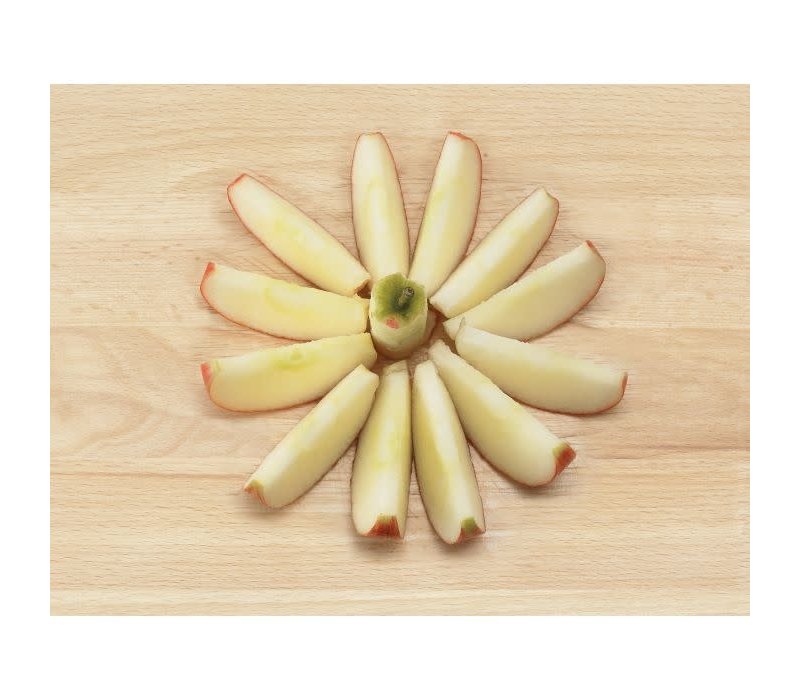 Mrs. Anderson's Apple Corer Slicer