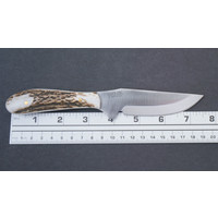 Silver Stag  Elk Skinner Slab Antler Handle, D2 Steel