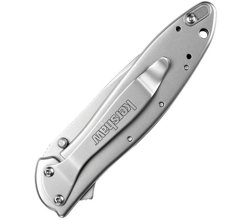 Kershaw Leek Assisted Open Stainless