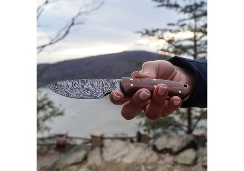 Buck & Bear Buck & Bear, Mini Camper