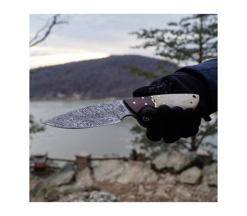 Buck n Bear Drop Point Hunter- Damascus with Camel Bone and Walnut Handle