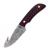 Buck & Bear Buck N Bear Damascus Gut Hook Hunting Knife
