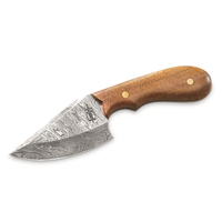 Buck n Bear Wild Skinner-Damascus with Walnut Handle