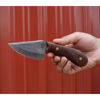 Buck n Bear Wild Skinner-Damascus with Walnut Handle