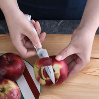 Cangshan, Thomas Keller 3.5" Paring Knife White