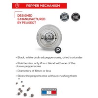 Peugeot Nancy Duo Salt & Pepper Mills- Acrylic 18cm