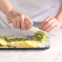 Cangshan, OLIV Series 5in Serrated Utility Knife