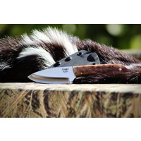 Bordertown Blades Small Hunter Fixed Blade Maple Burl Handle