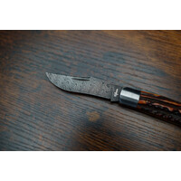 (CONSIGNMENT) 111023700--Halfmann, Single Blade Damascus Stag Horn Handle Amber Dye