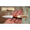 Anza Knives Anza, 6F MINI DROP PT- WALNUT-ELK