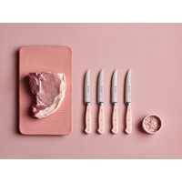 Wusthof, Classic 4 Piece Steak Knife Set, Pink Himalayan Salt