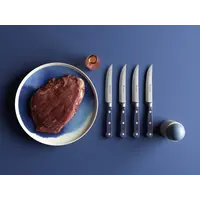 Wusthof, Classic 4 Piece Steak Knife Set, Wild Blueberry