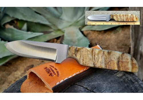 Anza Knives Anza, 10F WK6R Sheep Horn