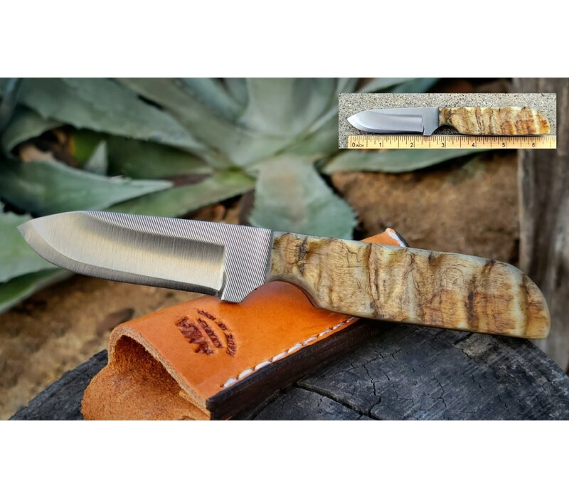 Anza, 10F WK6R Sheep Horn