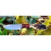 Anza Knives Anza, WKXX6-Walnut-LJ Bone