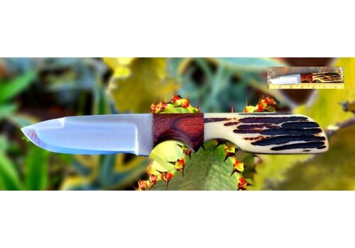Anza Knives Anza, WKXX6-Walnut-LJ Bone