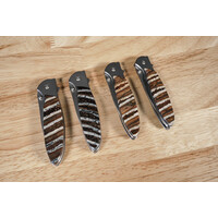 Santa Fe Stoneworks Kershaw Leek Mammoth Tooth Handle