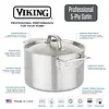 Clipper Corp/Viking Viking Professional 5-Ply 10pc Cookware Set, Nonstick Skillets