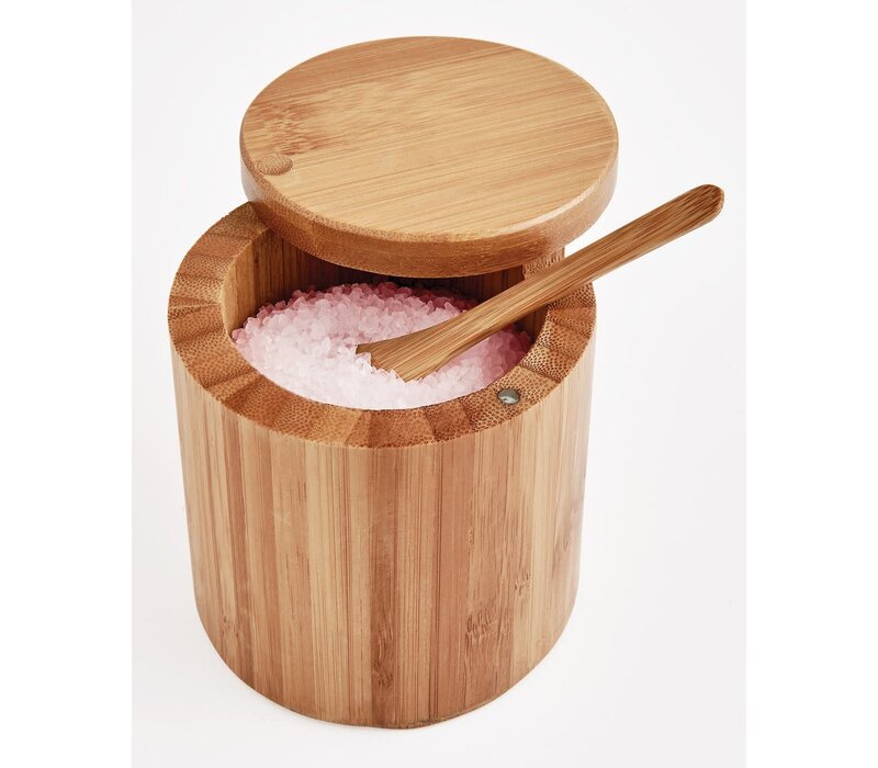 HIC Kitchen Salt Box with Lid and Spoon, 7oz