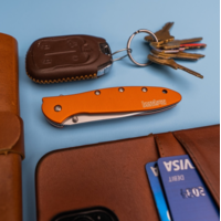 Kershaw Leek Assisted Orange