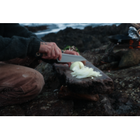Benchmade 3 Piece Kitchen Set Maple Richlite Black G10, CPM 154 Steel