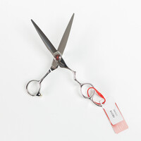 Above Shears, ERGO 6" Wet/Dry Beauty Shear, Stainless