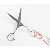 Above Shears, ERGO 6" Wet/Dry Beauty Shear, Stainless