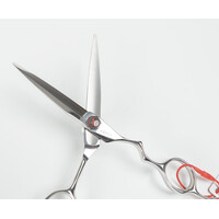 Above Shears, ERGO 6" Wet/Dry Beauty Shear, Stainless
