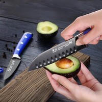 Cangshan 2pc Titanium Coated Santoku Starter Set Vanilla White