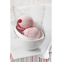 HIC Kitchen Anti Freeze Ice Cream Scoop