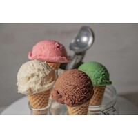 HIC Kitchen Anti Freeze Ice Cream Scoop