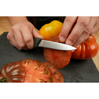 Messermeister, Pro Series Spear Point Paring Knife 4"