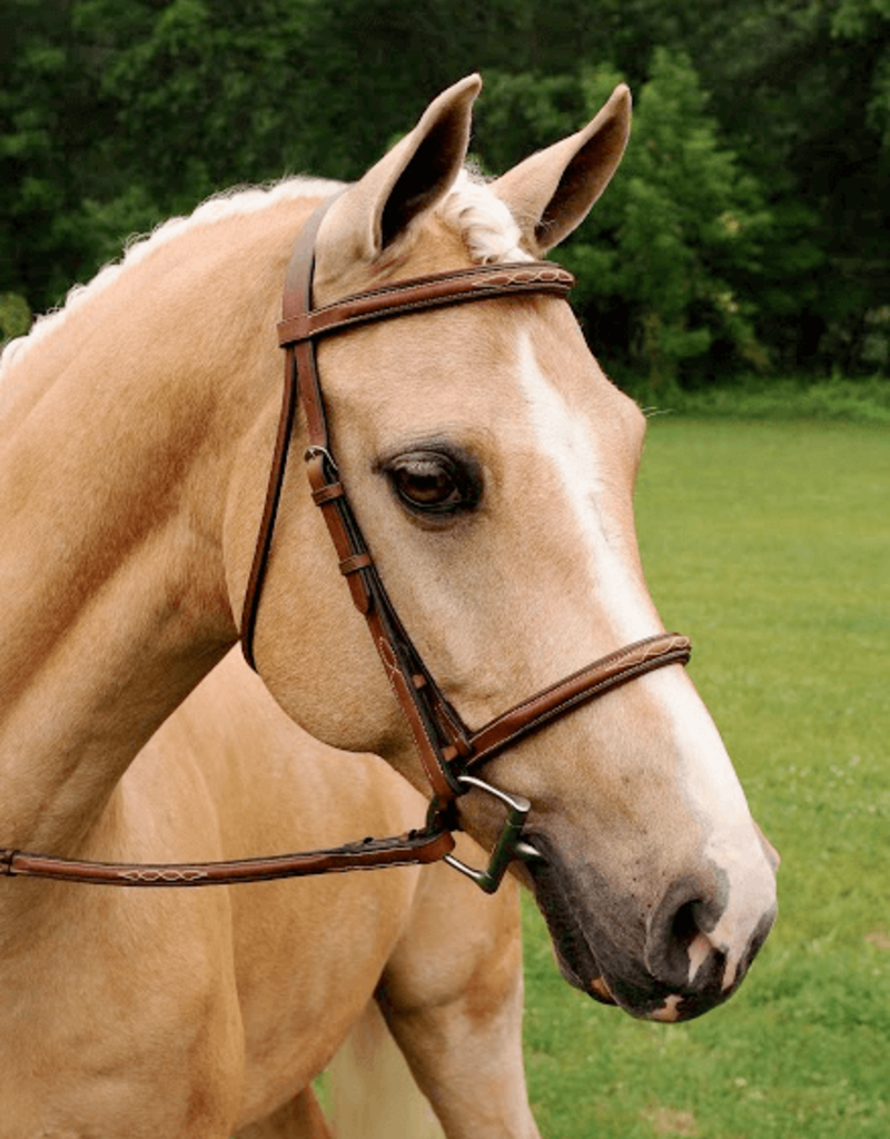 Arc de Triomphe ADT Imperial Padded Bridle Raised Fancy Stitched Reins