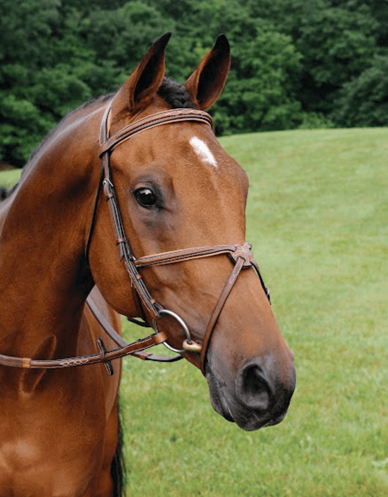 Arc de Triomphe ADT Imperial Figure 8 Fancy Stitched Mono