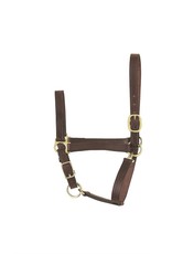Perri's Leather Perri's Economy Halter