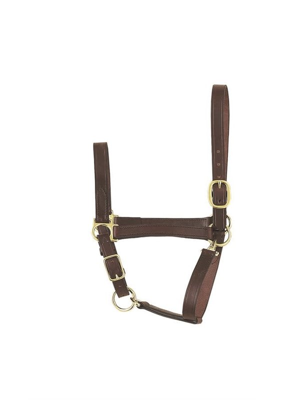 Perri's Leather Perri's Economy Halter