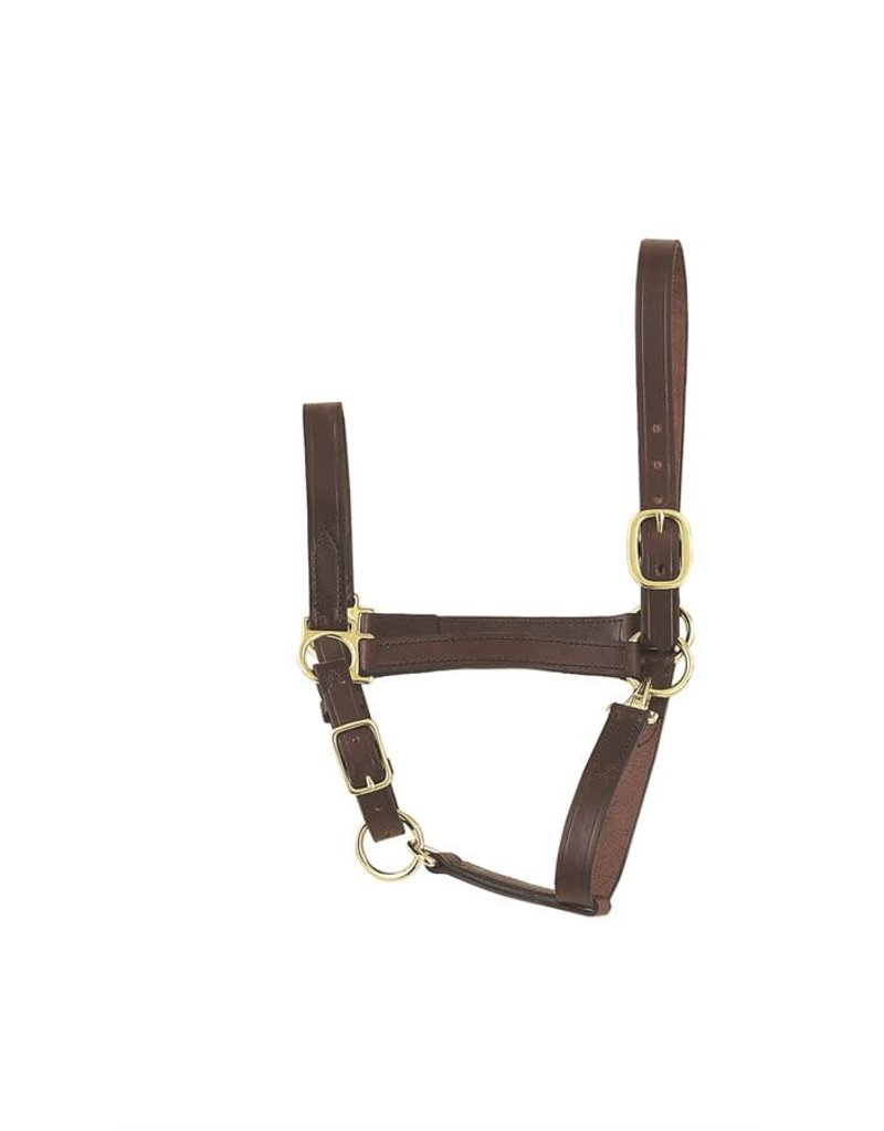 Perri's Leather Perri's Economy Halter