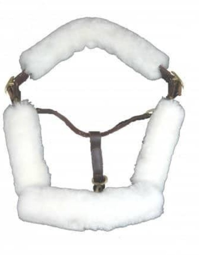 Fleeceworks Halter Fleeces