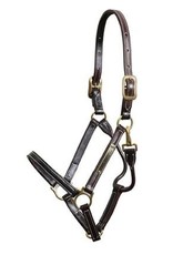 Walsh Walsh Showman Halter
