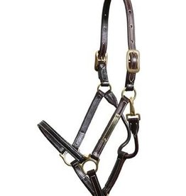 Walsh Walsh Showman Halter