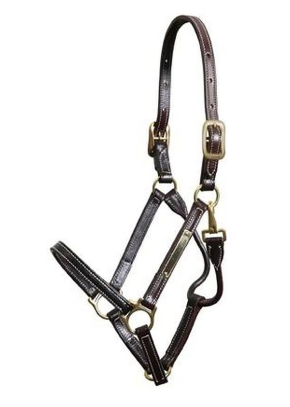 Walsh Walsh Showman Halter