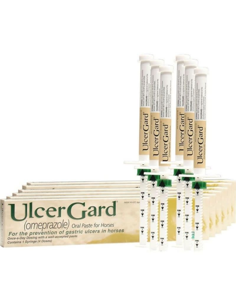 Ulcergard Paste 6.15g