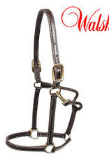 Walsh Walsh Showman Halter