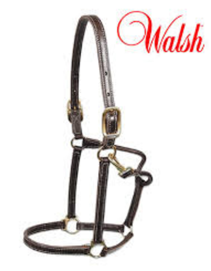 Walsh Walsh Showman Halter