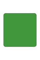 Eternal Tattoo Supply Eternal Jungle Green