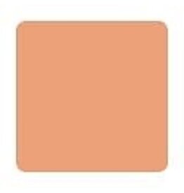 Eternal Tattoo Supply Eternal Nude Blush 2 oz Clearance *Expired*