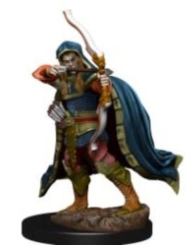 WizKids Male Elf Rogue - D&D: Icons of the Realms Premium Figure