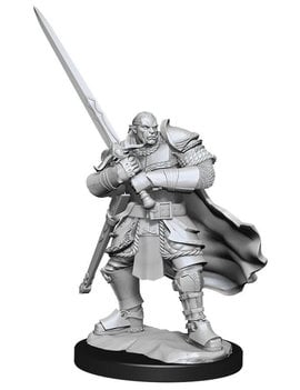 Male Half-Orc Paladin - Nolzurs Marvelous Minis W15