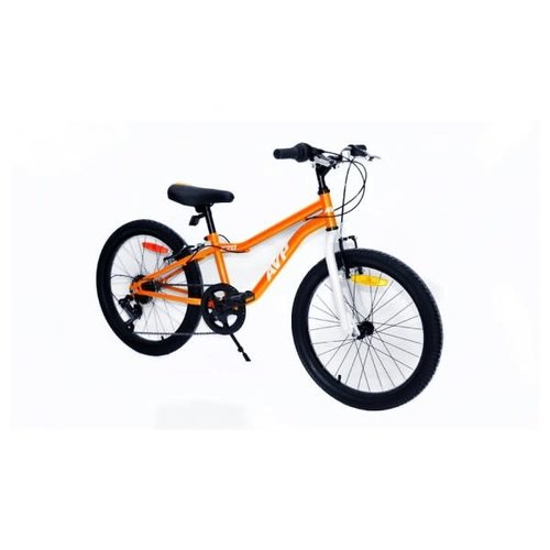 AVP 2019 AVP K20 7Vit AVP 2019 AVP K20 7Vit